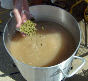 American hops are featured at the end of the boil.
