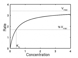 512px-Michaelis-Menten_saturation_curve_of_an_enzyme_reaction_LARGE.svg