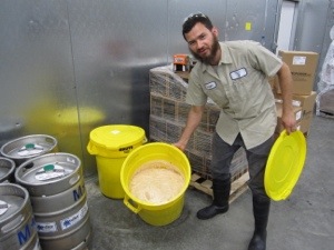 This is what a 50-barrel pitch of yeast looks like